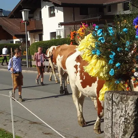 Daire Hinterlechnerhof